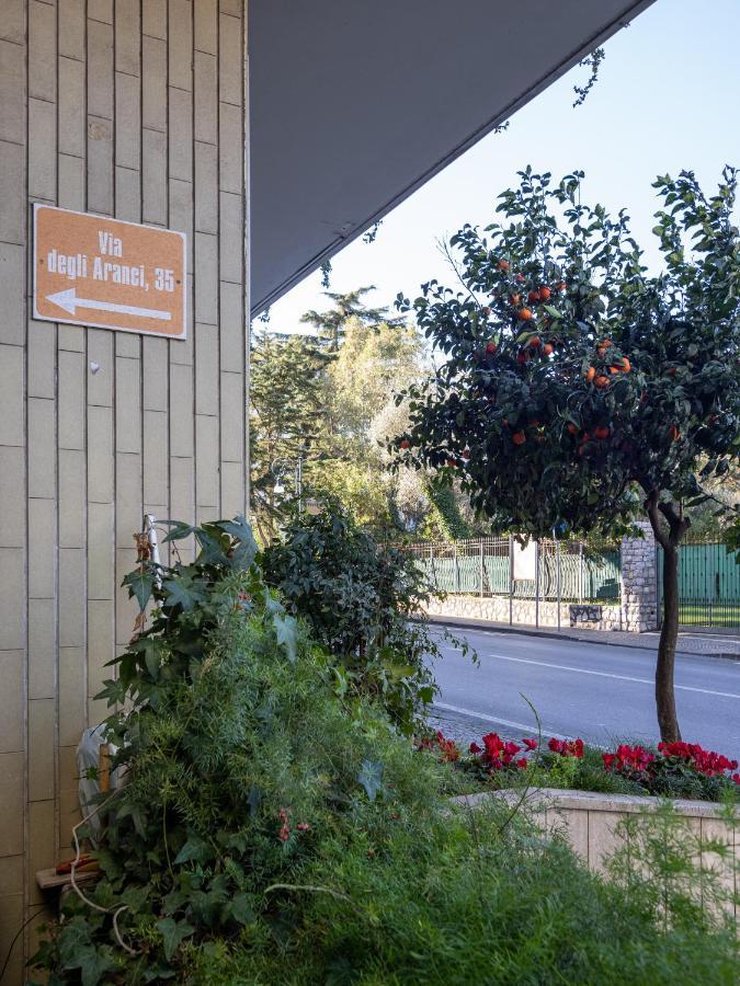 Orange - De Vivo Realty